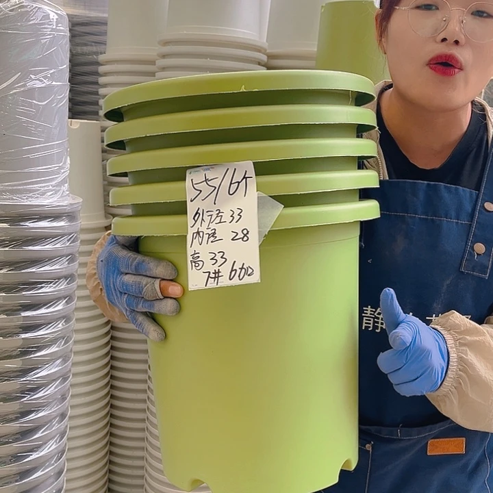 四季盆果绿色7#6加仑5个无托