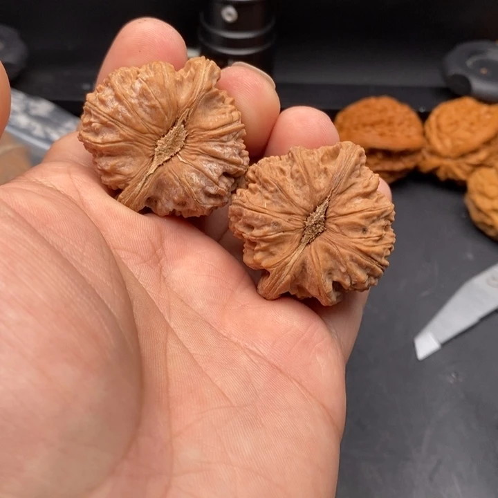 文玩核桃吊坠41白狮子