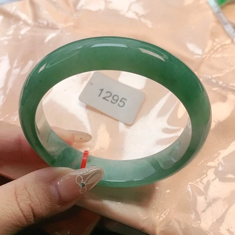 未镶嵌手镯翡翠1295
