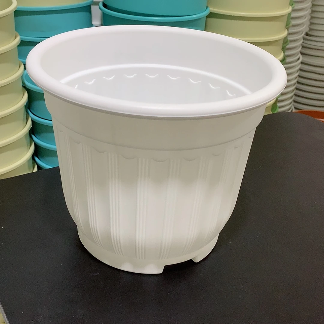 树脂罗马口24白5个无托