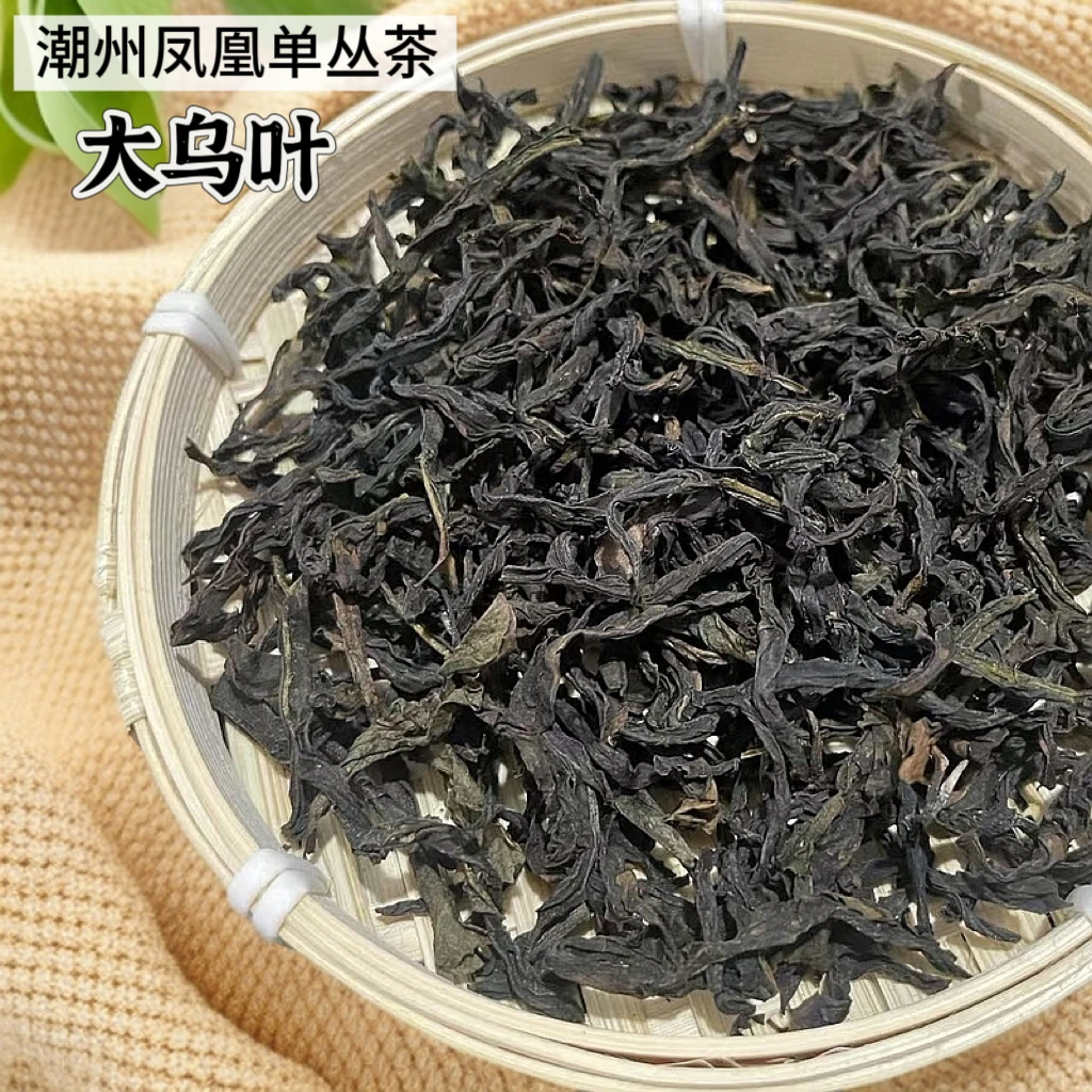 大乌叶凤凰单丛茶潮州单枞茶广东乌龙茶清香高香型潮州特产品鉴装