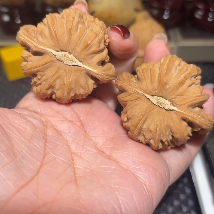 把件文玩核桃46卡姿兰白狮子