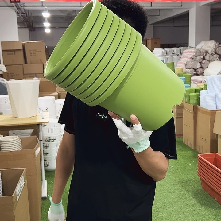 特价4号四季口25高21果绿无托8只