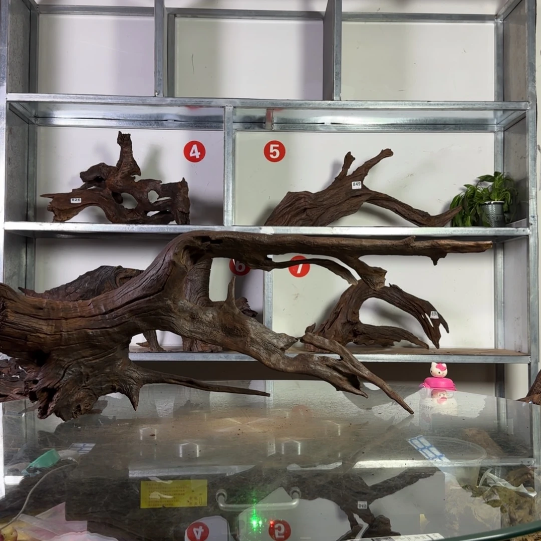 云南紫柚木秒沉水