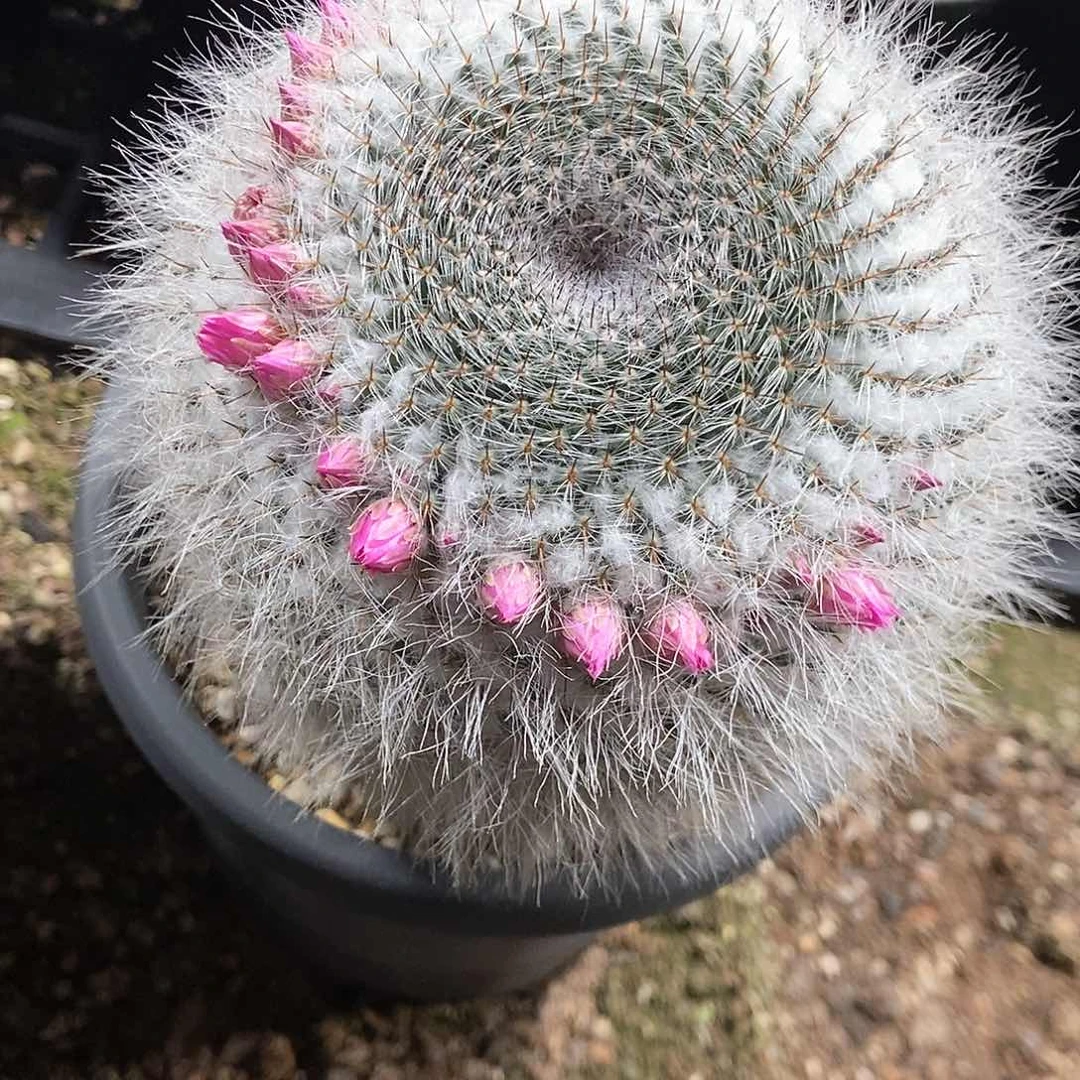 净*哈哈哈哈哈哈哈哈哈哈