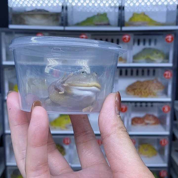 特价秒杀现货特价