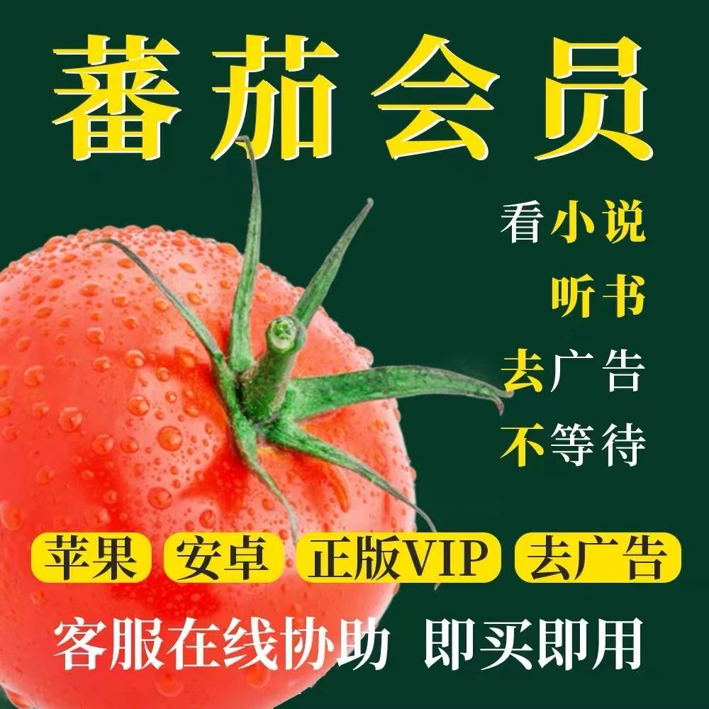 番茄小说SVIP季年卡一年一次性到账看小说免广告 下单后联系客服