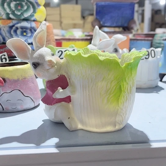 多肉植物花盆花盆