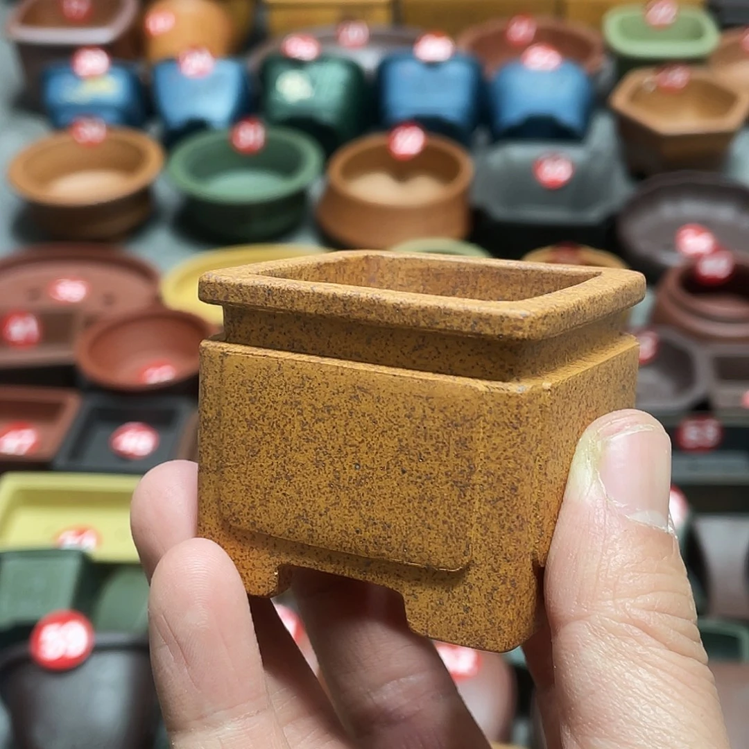 紫砂小盆4.5*3.5cmmmm