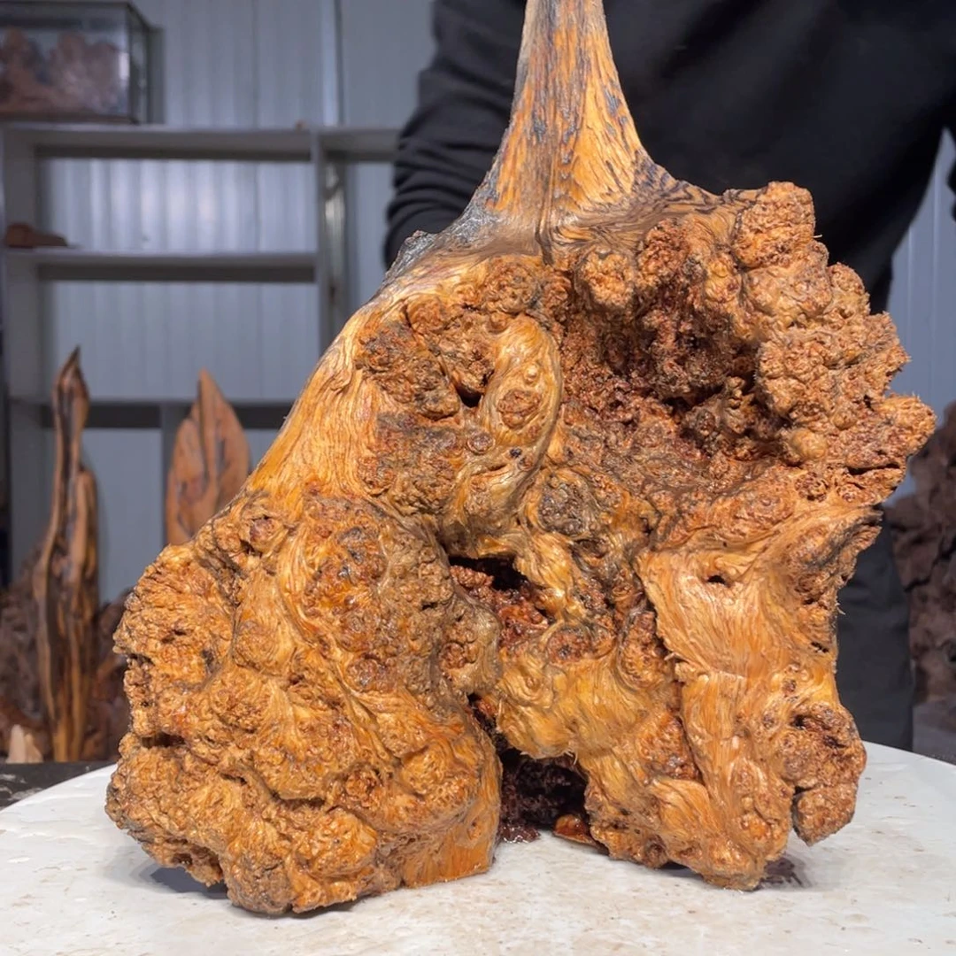 刚***！木猛子琥珀木摆件32