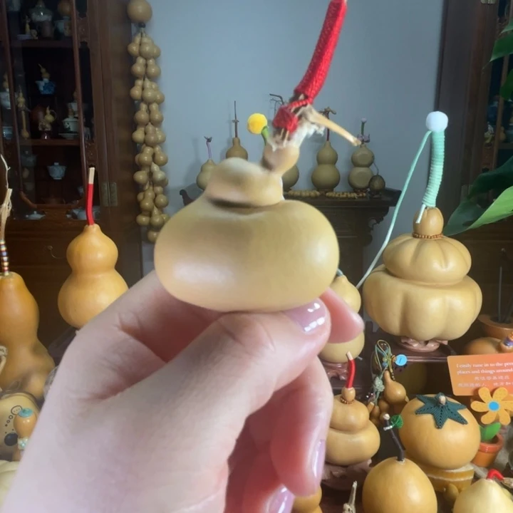 厚皮响籽葫芦钱袋子