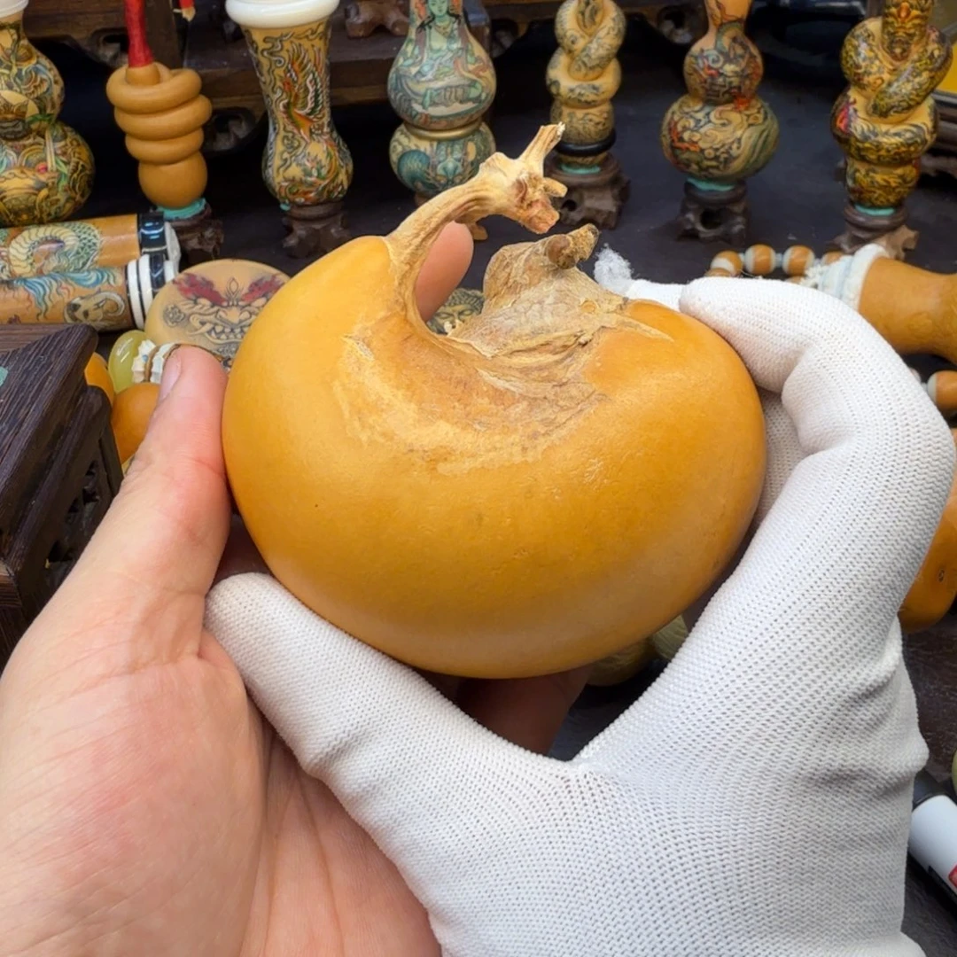 迷**11111111111111111