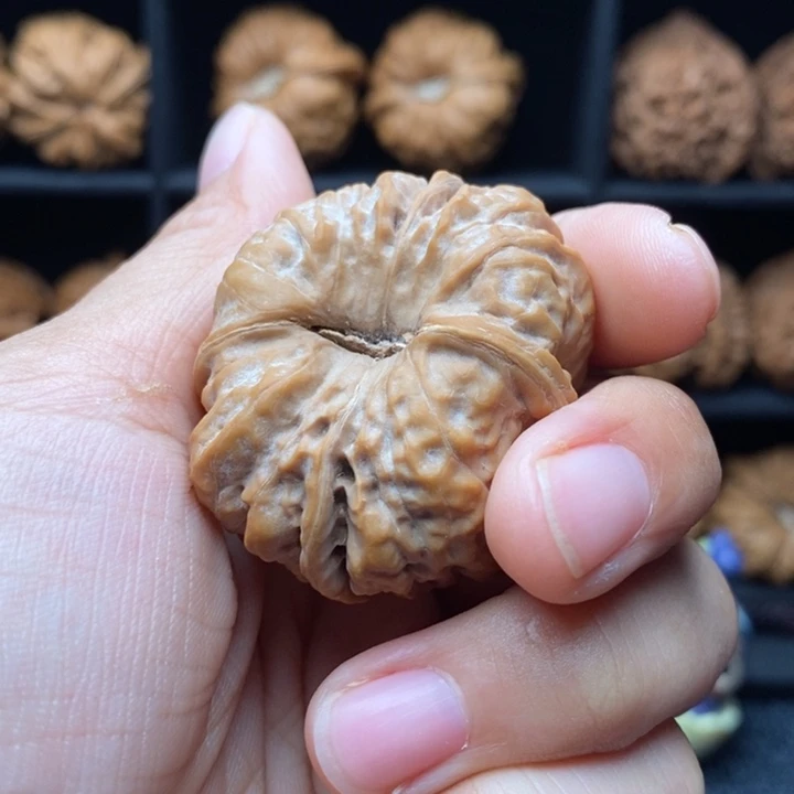 景***昱龙脊菩提吊坠蛙四棱子
