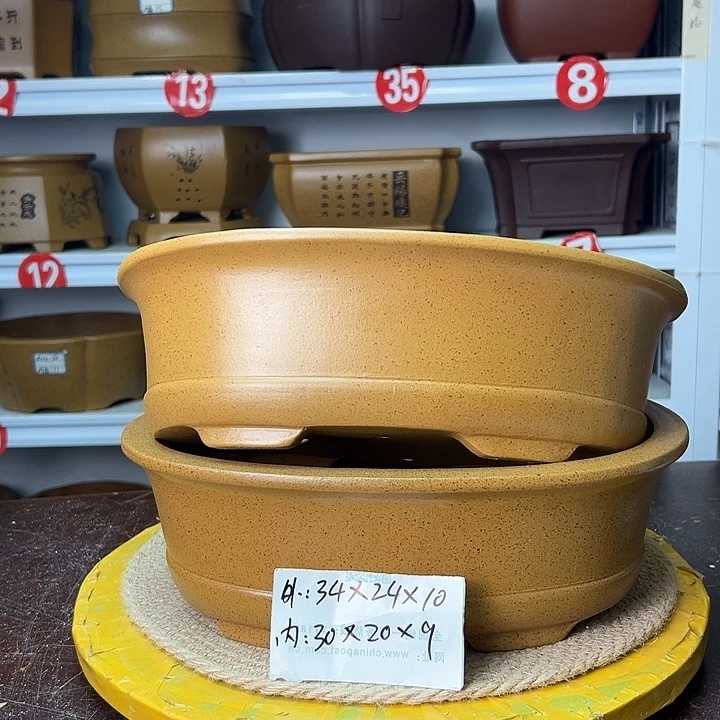 花盆紫砂你在一起