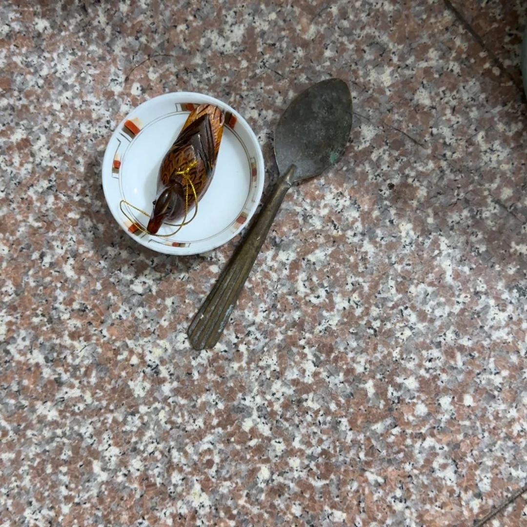 山***求杂色豆（科檀/科特迪瓦檀木）
