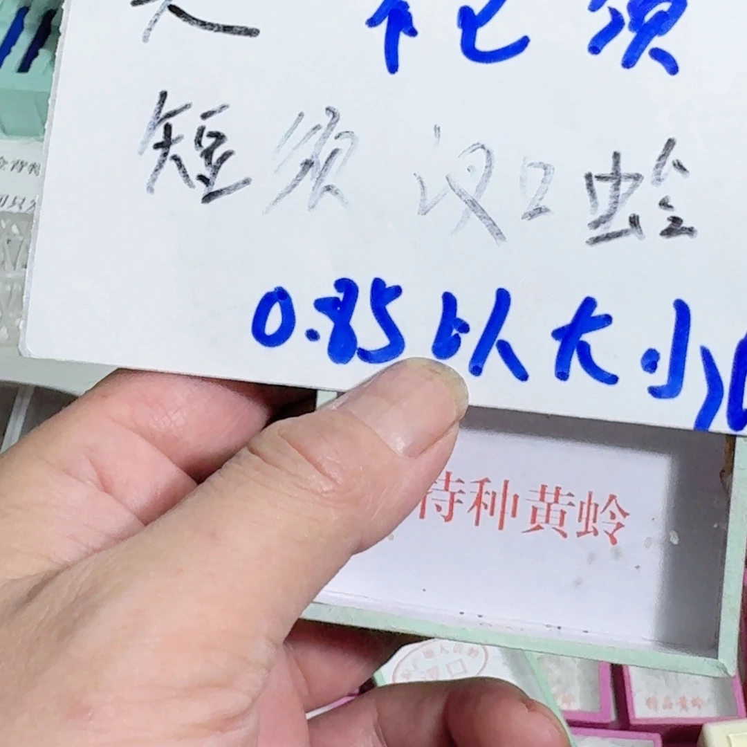 老***7蟋蟀蝈蝈我在外面吃饭呢