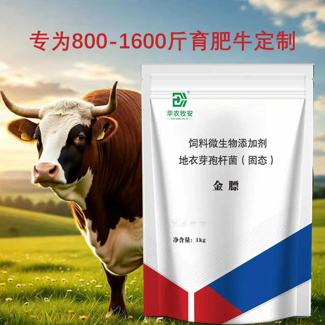 育肥牛用金膘饲料添加剂1000克800-1600斤育肥牛使用