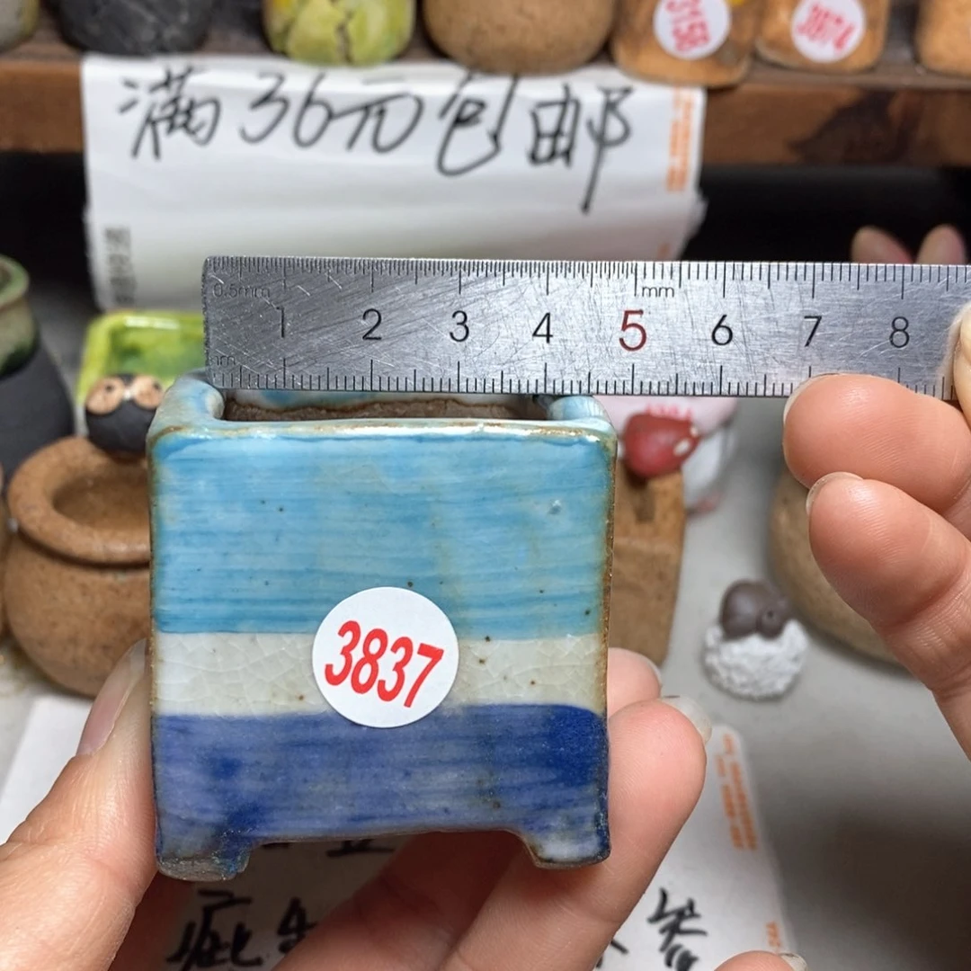 红陶拍5送一个小