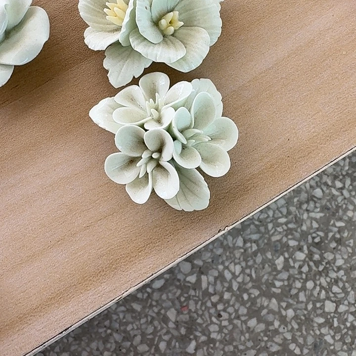 树***懒拍一发二手捏花朵