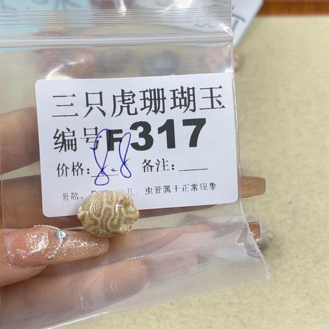森***夏未镶嵌h硅化珊瑚（珊瑚玉）