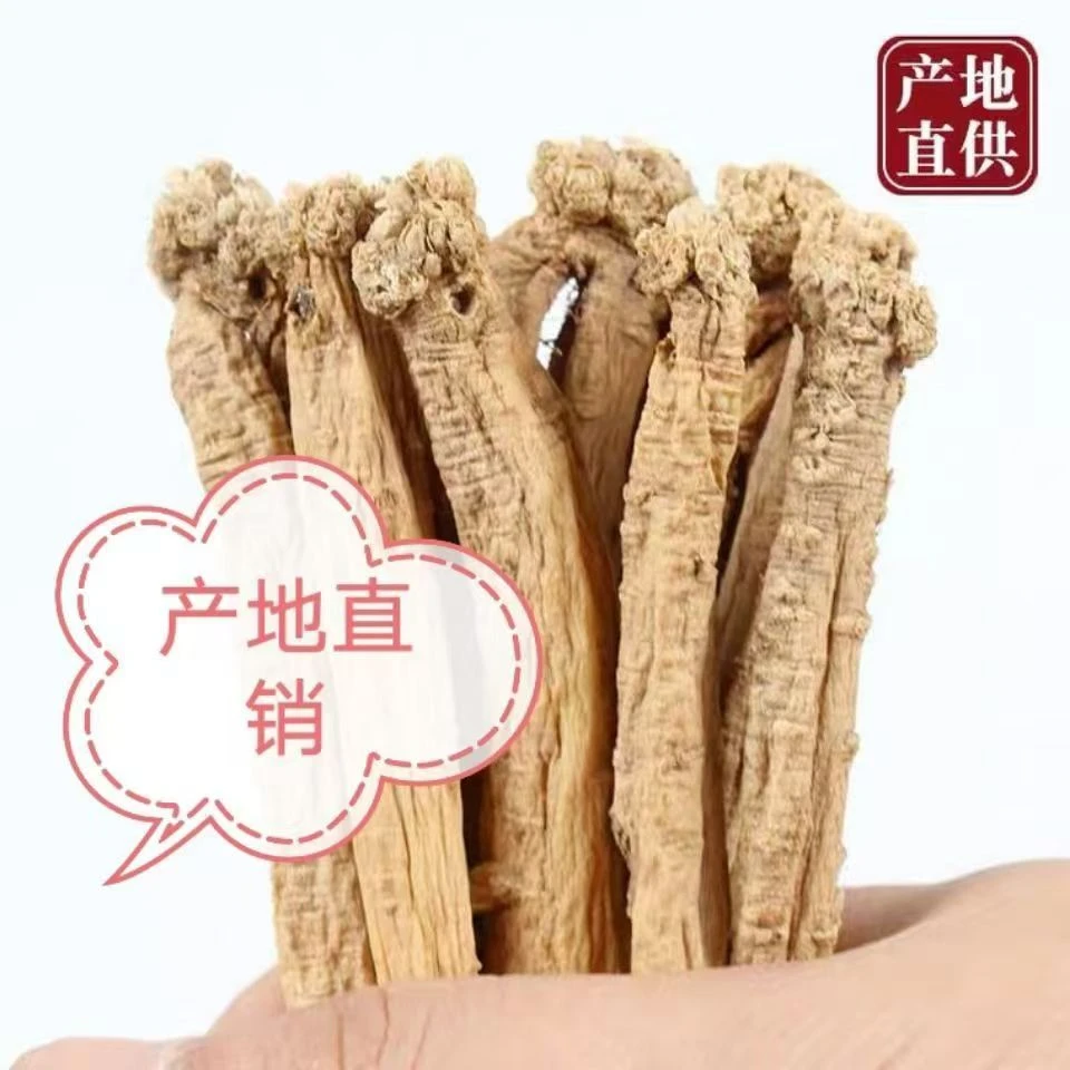 甘肃种植党参干货小条可搭配黄芪当归煲汤泡水