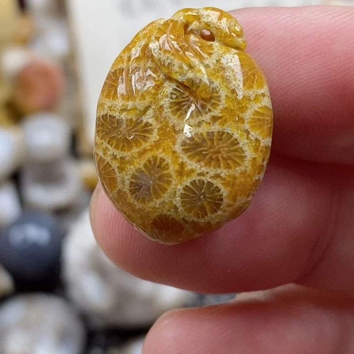 颈饰未镶嵌硅化珊瑚（珊瑚玉）有瑕 小