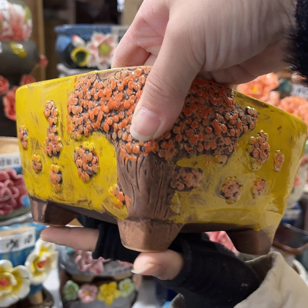 【闪购商品】红陶福利