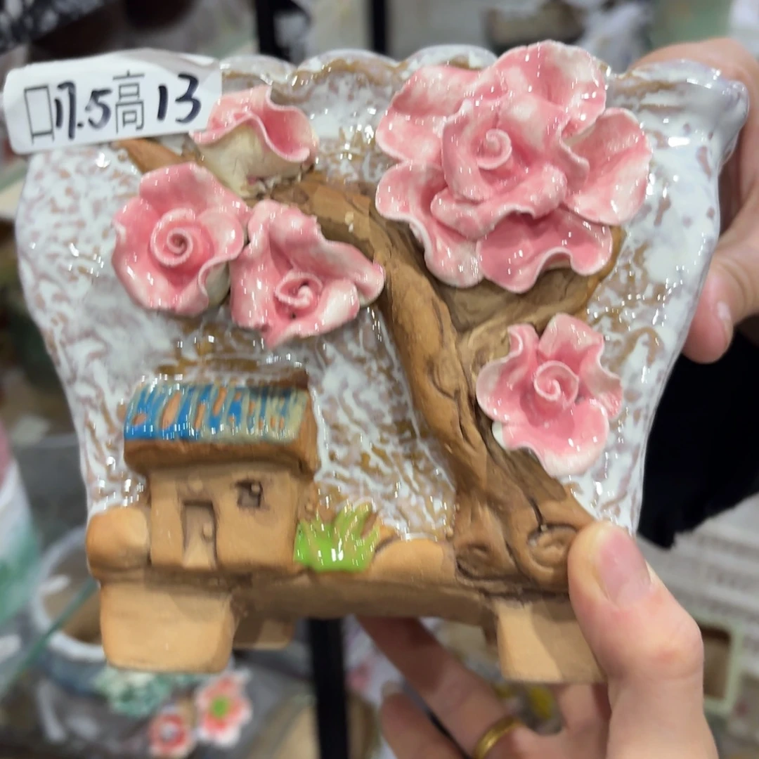 本场直播满百送一个盆