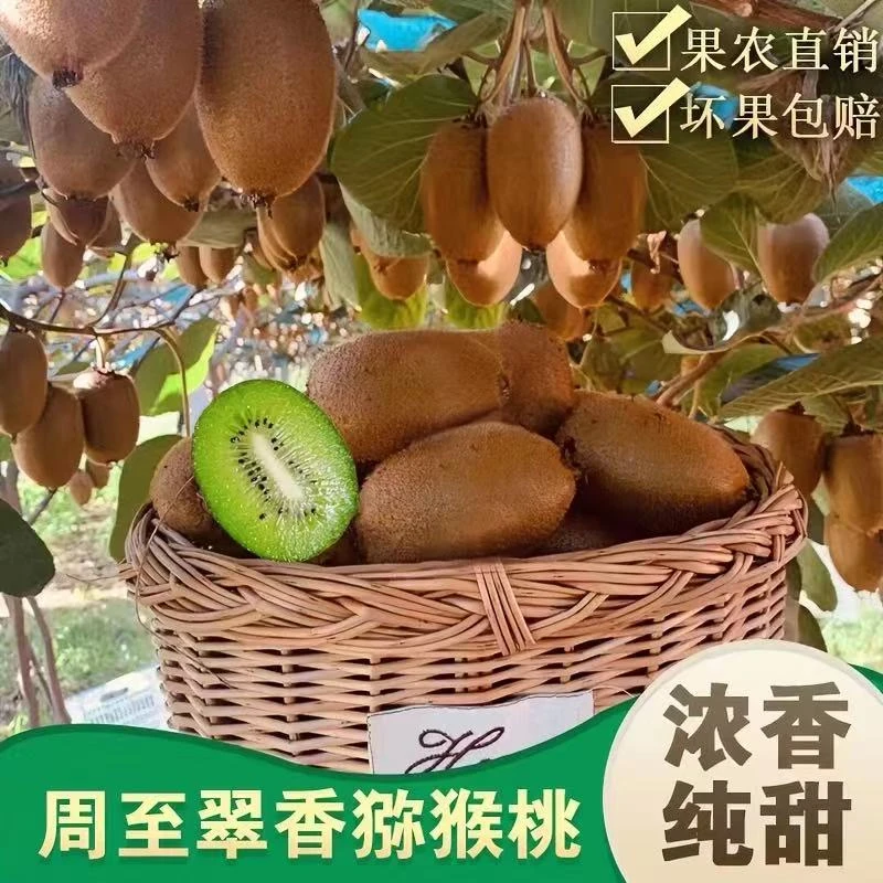陕西周至翠香猕猴桃九甜一酸口感好10-30个