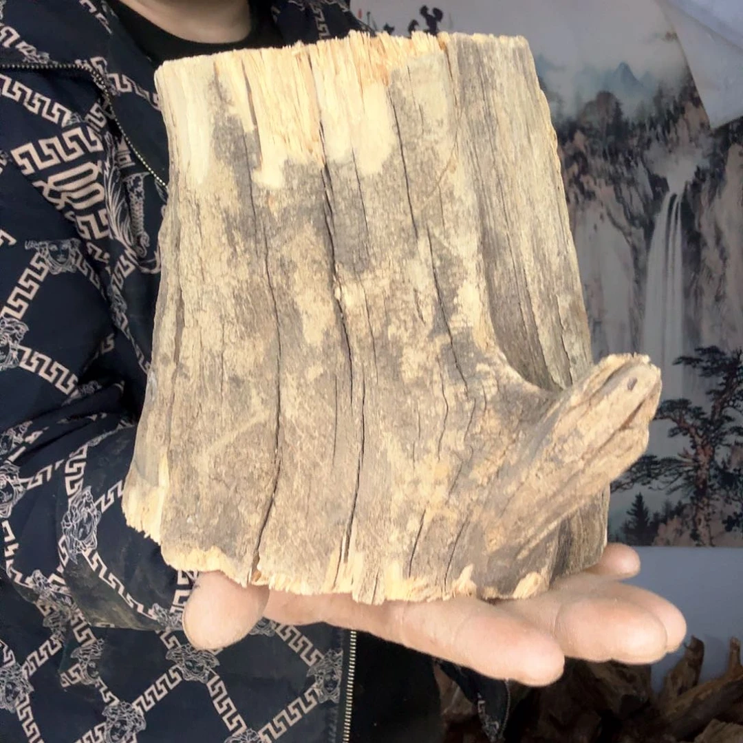 陶瓷凭**雨太行崖柏摆件