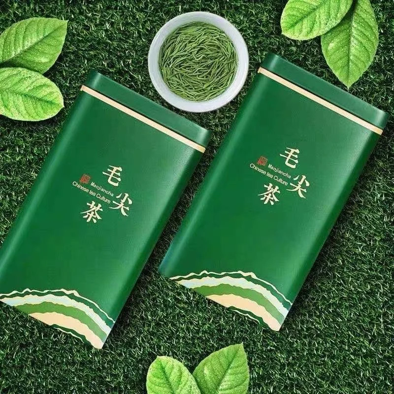 2025新茶毛尖茶绿茶茶叶250g500g