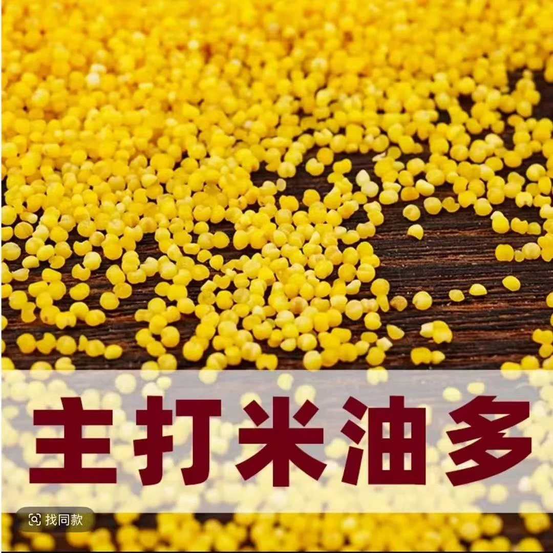 现磨现发沙漠带胚芽黄小米粘糯香醇营养丰富米油浓郁