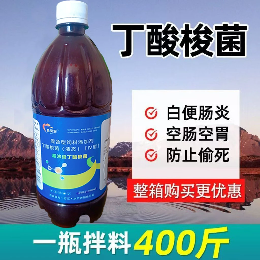 超浓缩丁酸梭菌修复肠道促进消化空肠胃肠道益生菌