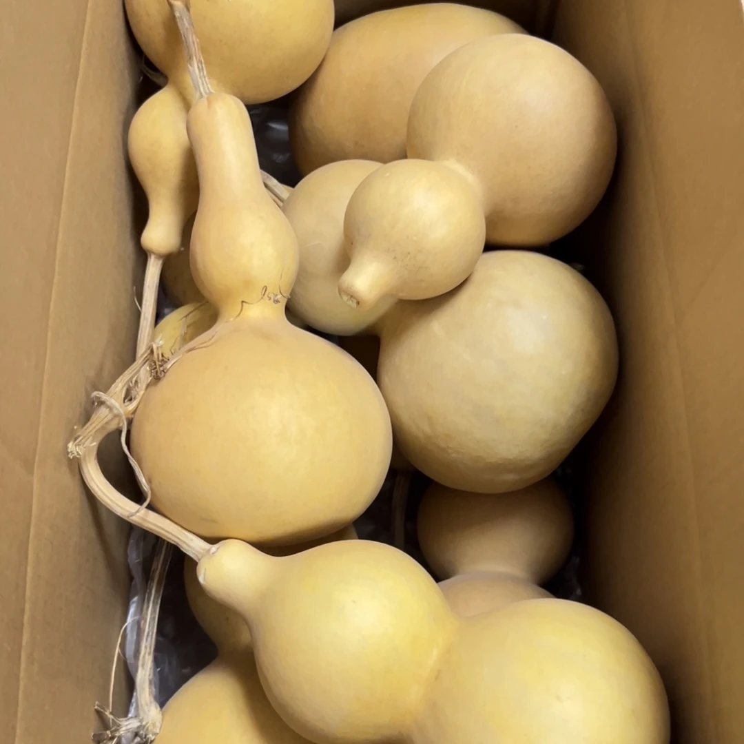 小***）有机玻璃葫芦葫芦