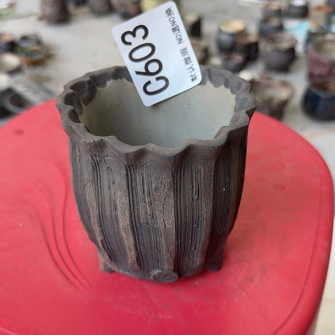 重庆小燕子欢迎大家603