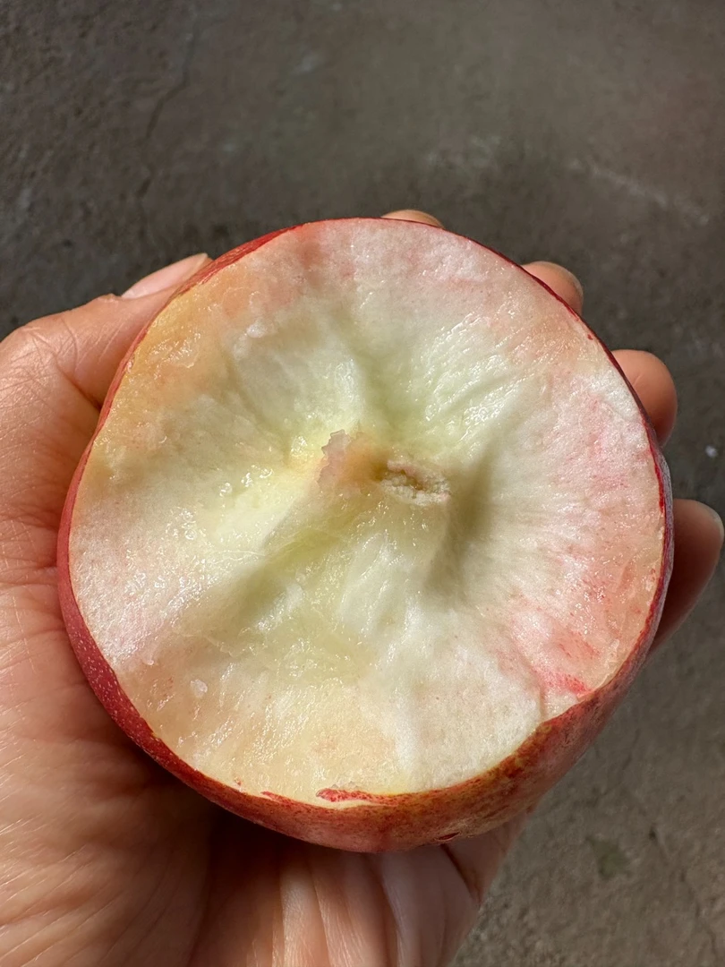 顺丰包邮沂蒙山高山露天精品白肉大油桃现摘现发夏季消暑水果