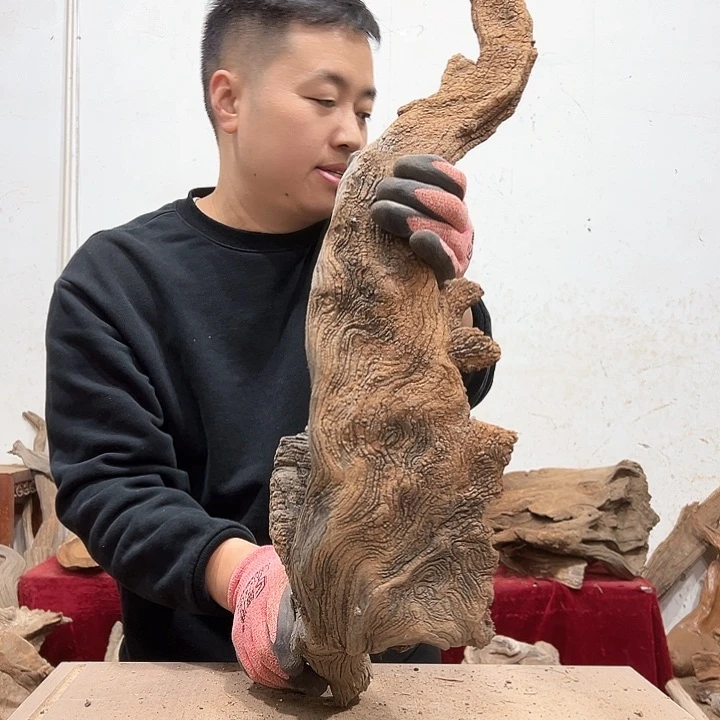 柏木鸿*我们的生活也是如此吧