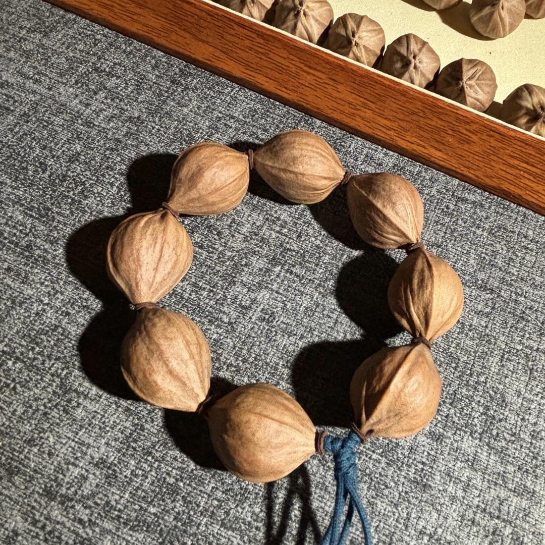 老树籽四花 2.3 橄榄铁核素串