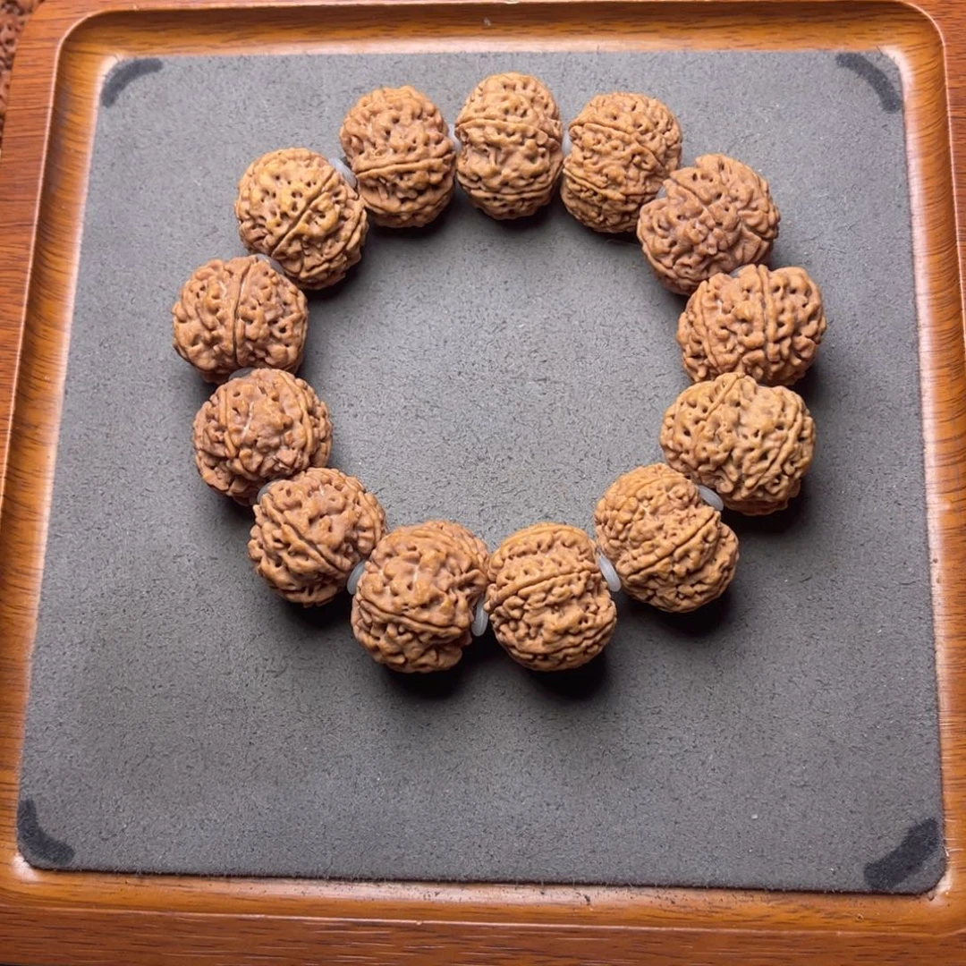 菩提2号金刚菩提原生态六瓣24+