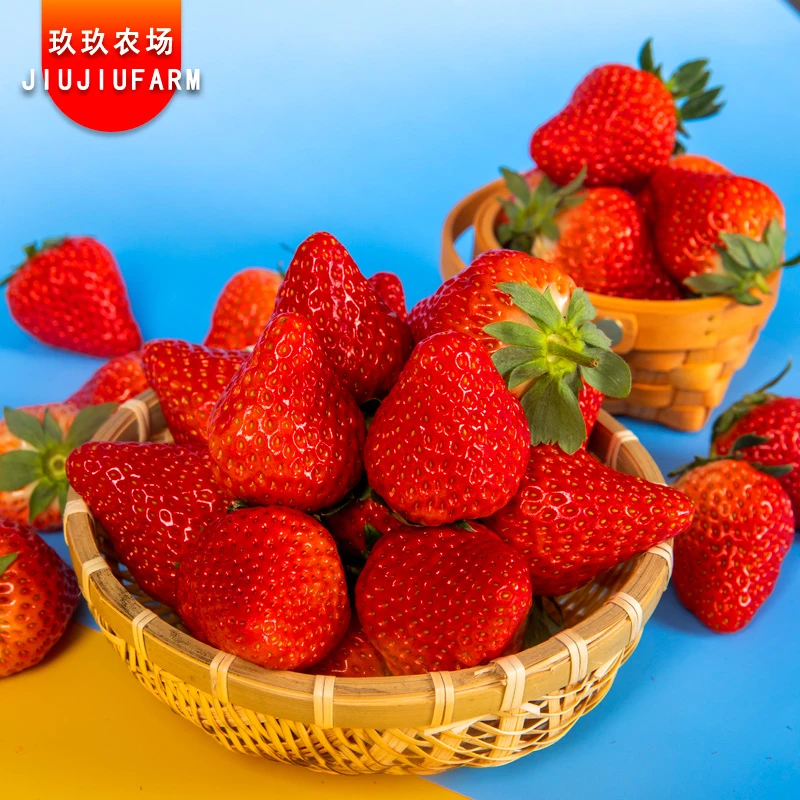 【空运包邮】正宗丹东99草莓头茬新鲜红颜东港九九牛奶草莓小草莓