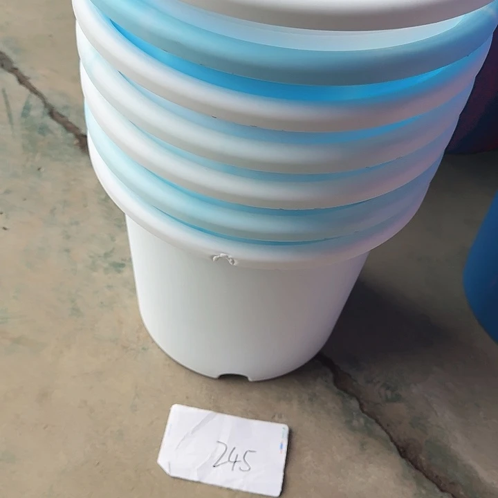 编号245瑕疵7个无托