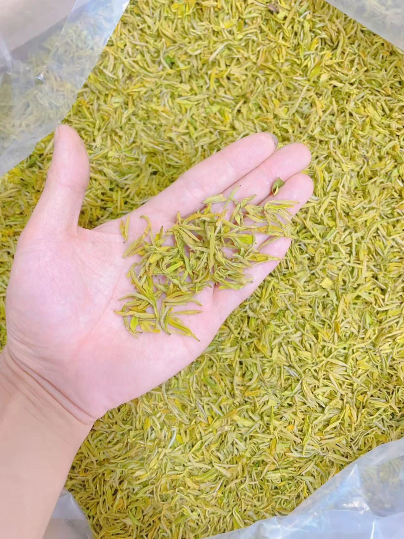 『手工头采』2025年新茶 明前头采H848 高山手工黄金芽 250g/500g