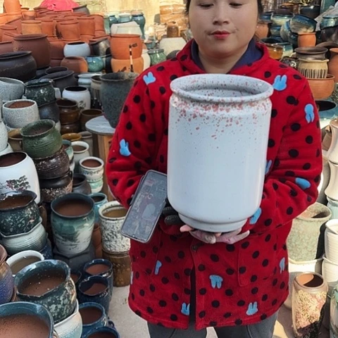 口20高30一个盆子。