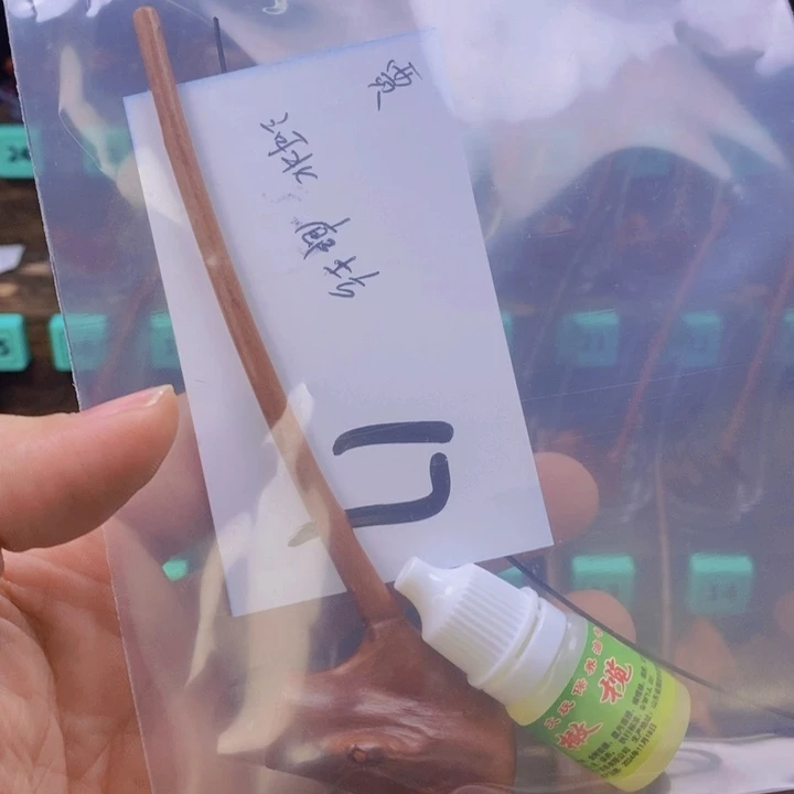 木用****1精品檬子木烟斗