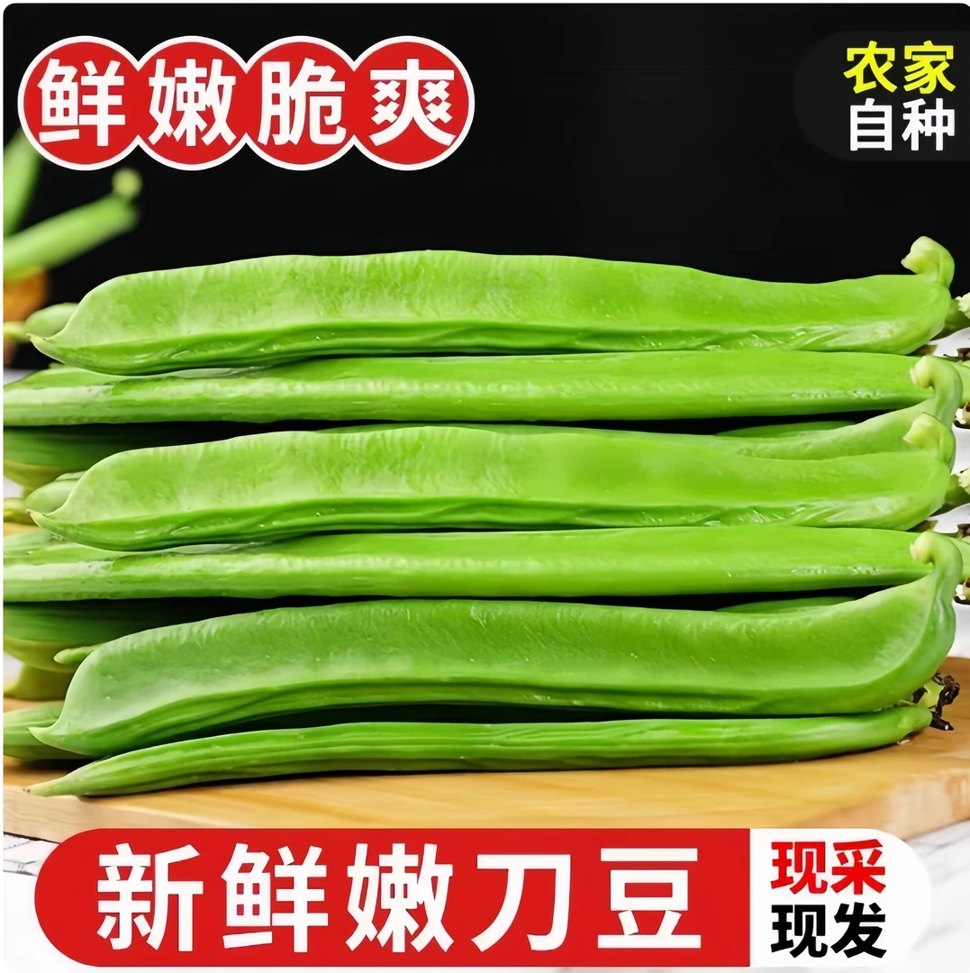 江西鲜刀豆农家下饭菜特产刀把豆现摘现发农家嫩刀豆京东快递到家