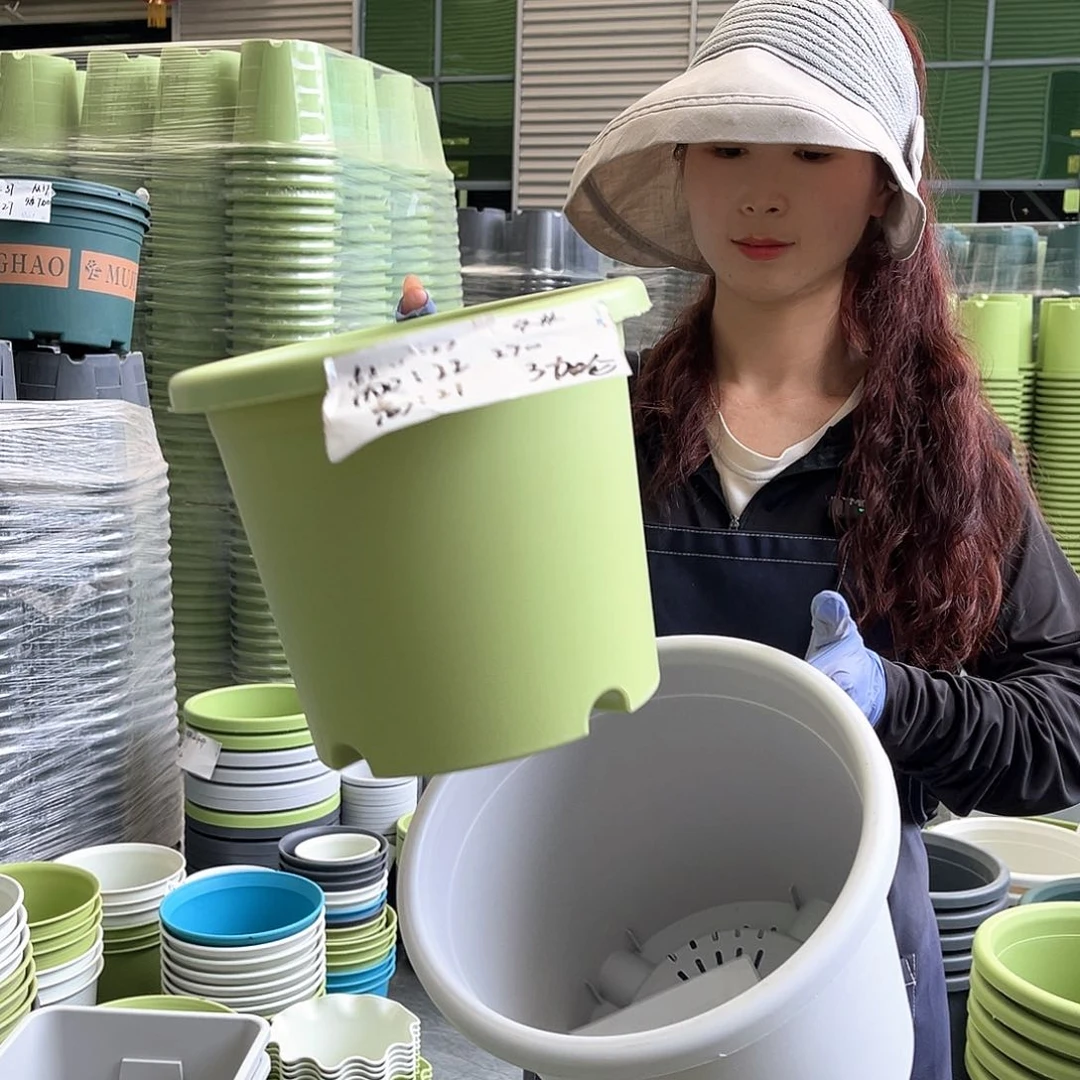 四季盆5#灰白色6个无托