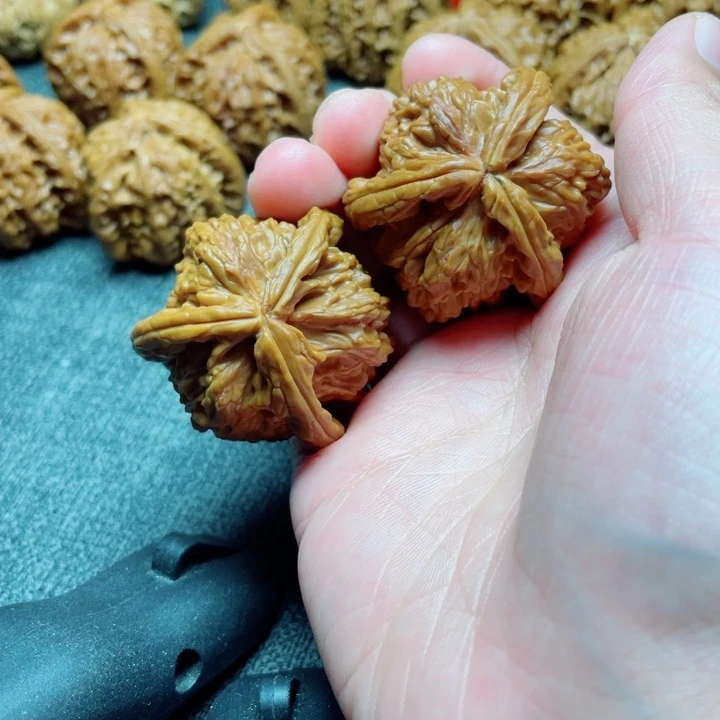 多***感手工三棱白狮子三棱