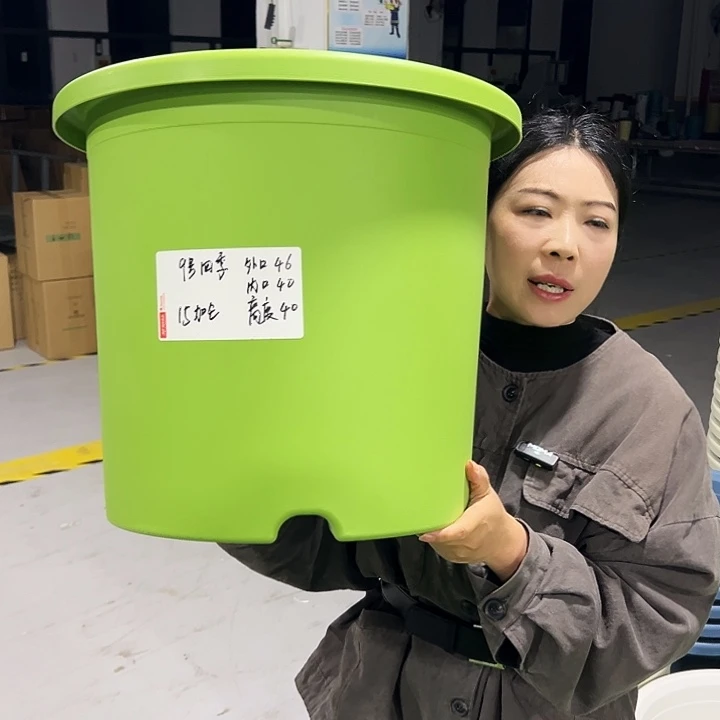 特价9号四季口46高40果绿4只无托