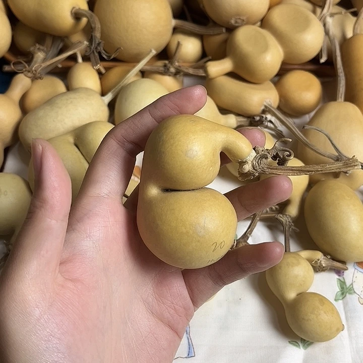 归来仍少年哈哈哈哈