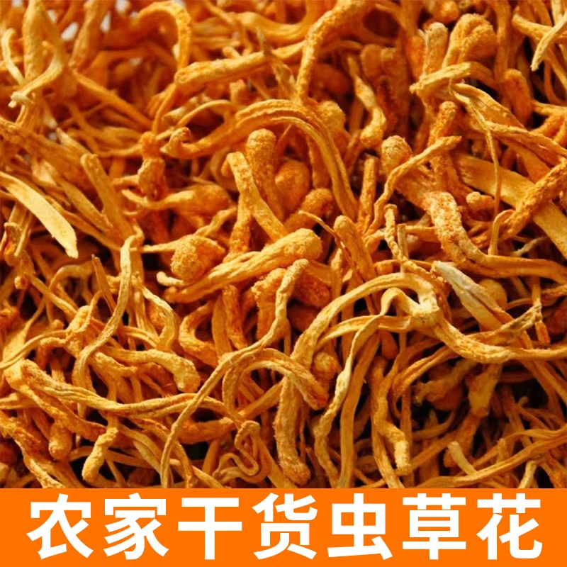 虫草花 2两装 农家好货 农家自种 自然晾晒